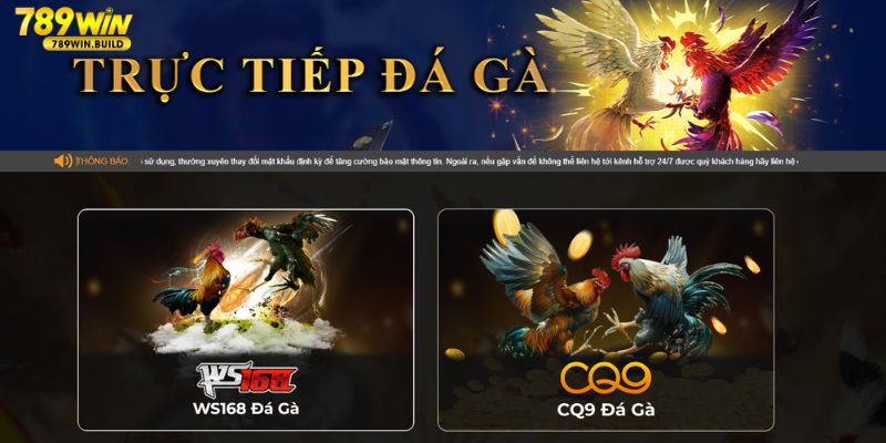 2 kênh đá gà trực tuyến trên nền tảng 789Win